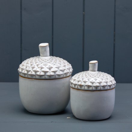 White Ceramic Acorn Storage Pot 15cm