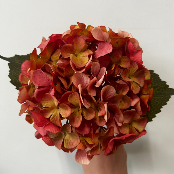 Hydrangea Orange (45cm)