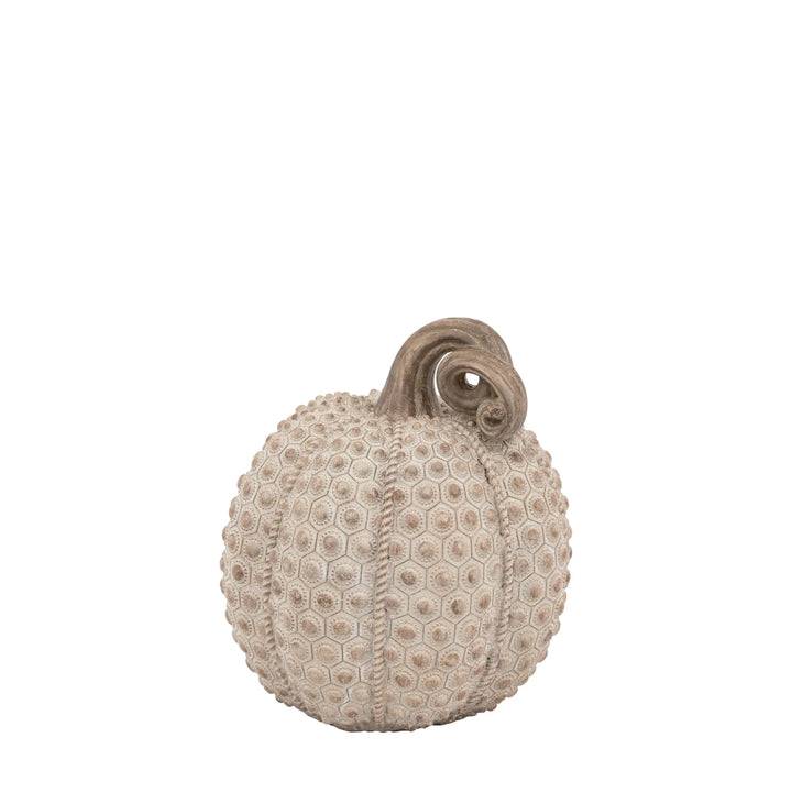 Resin Pumpkin Natural 22cm