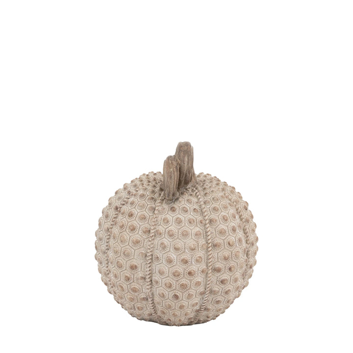 Resin Pumpkin Natural 22cm
