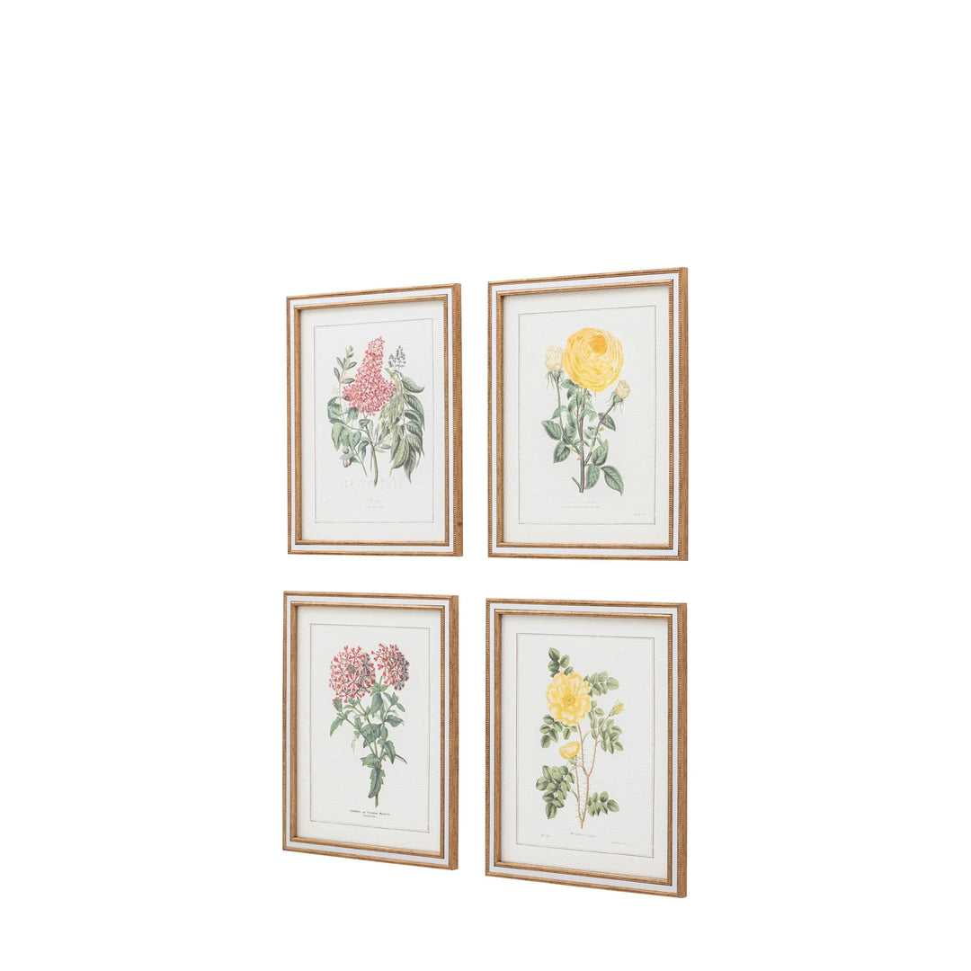 Floral Quartet Framed Art Set of 4