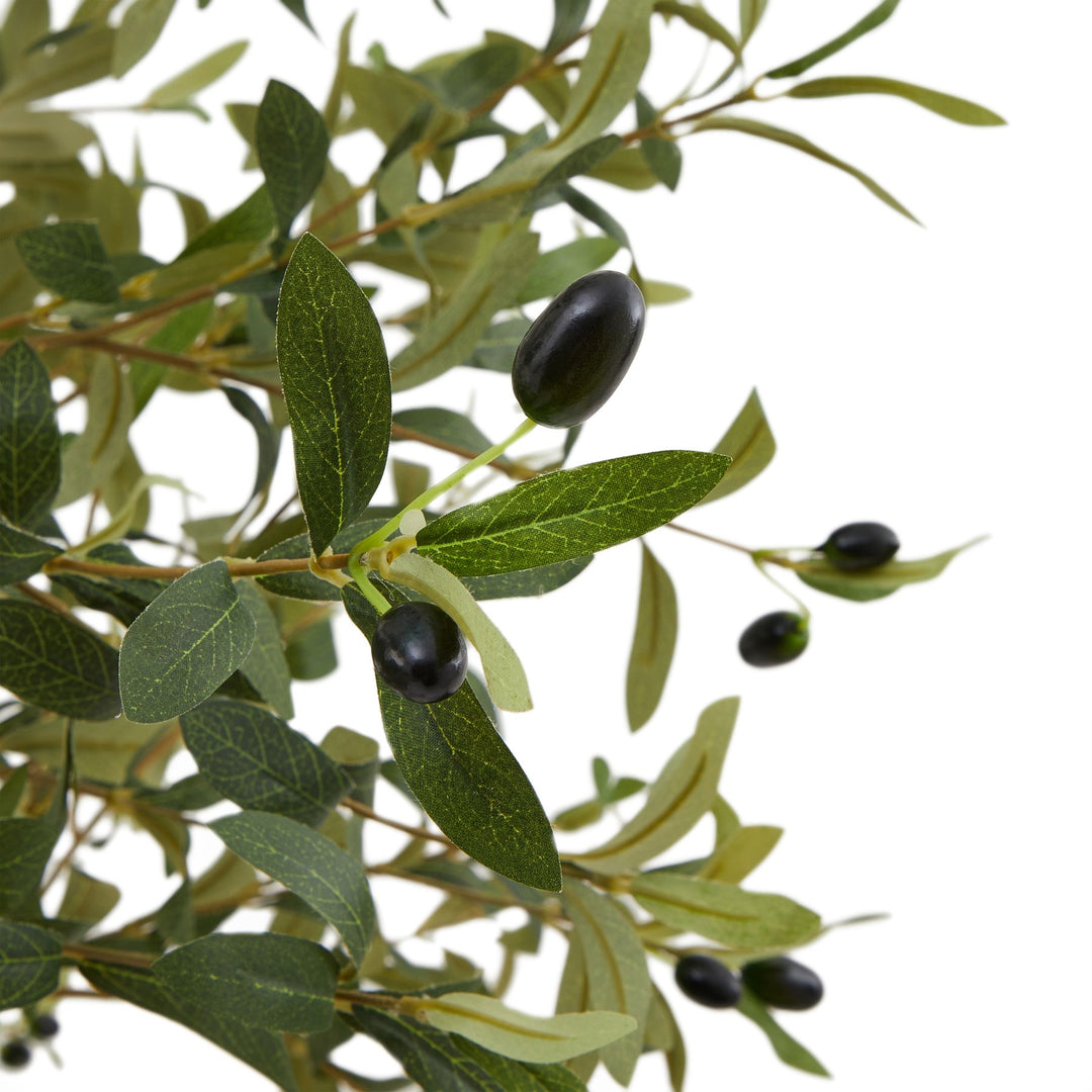 Puglia Olive Tree 150cm | Pre-order Stock Due 08/12