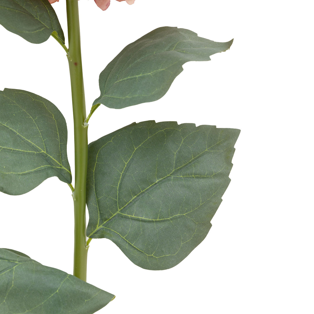 Vintage Cone Hydrandea Stem 12pk