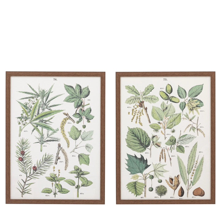 Foliage Study Framed Art Set of 2