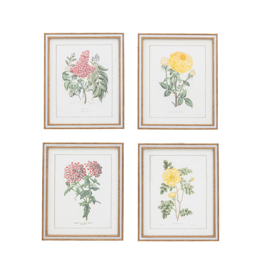 Floral Quartet Framed Art Set of 4