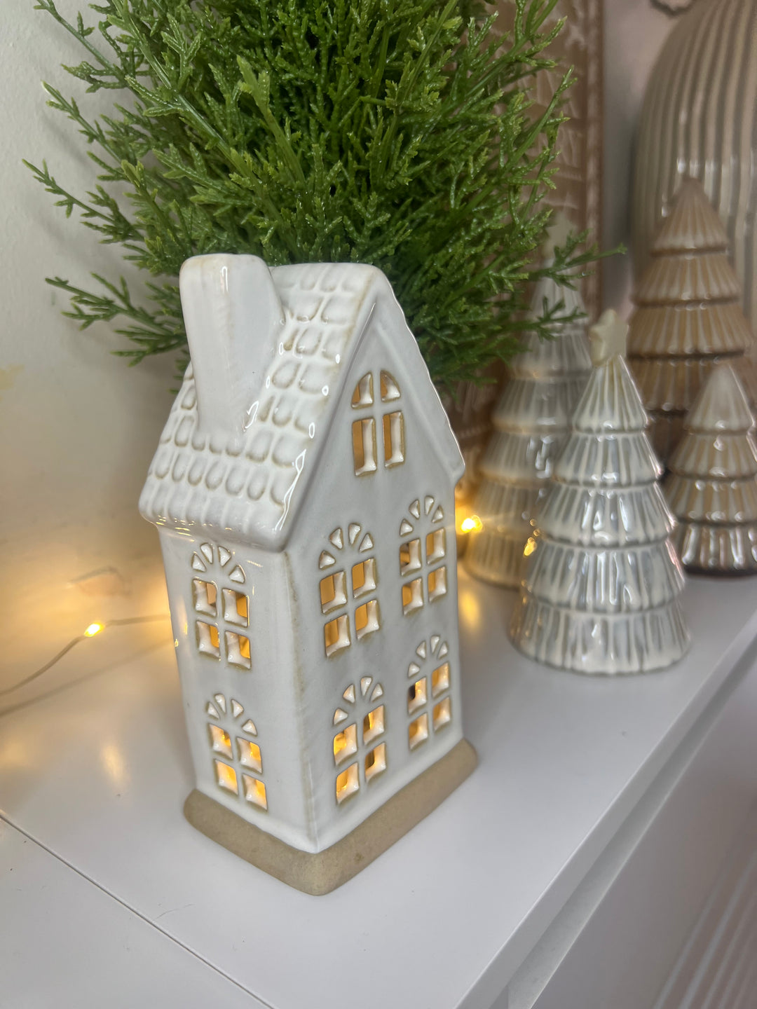 LED Natural House