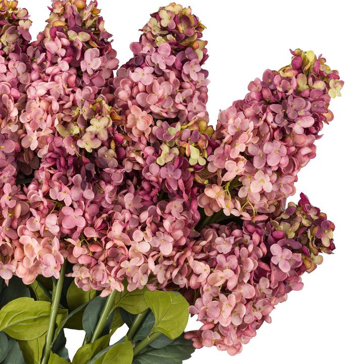 Vintage Cone Hydrandea Stem 12pk