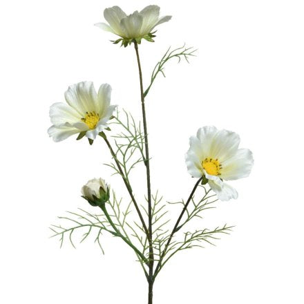 Coreopsis flowers 64cm