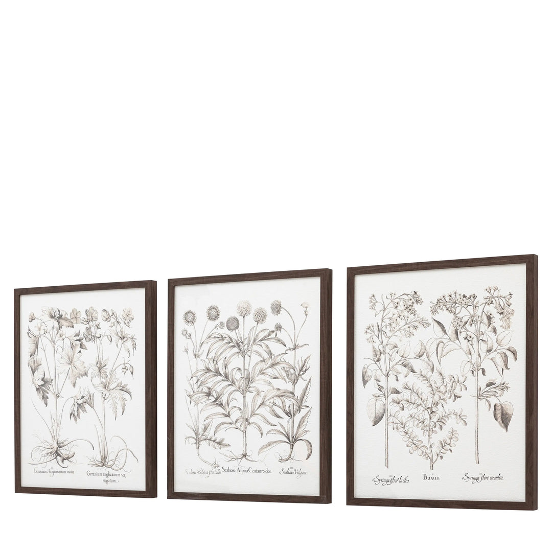 Trio Botanical Framed Art Set