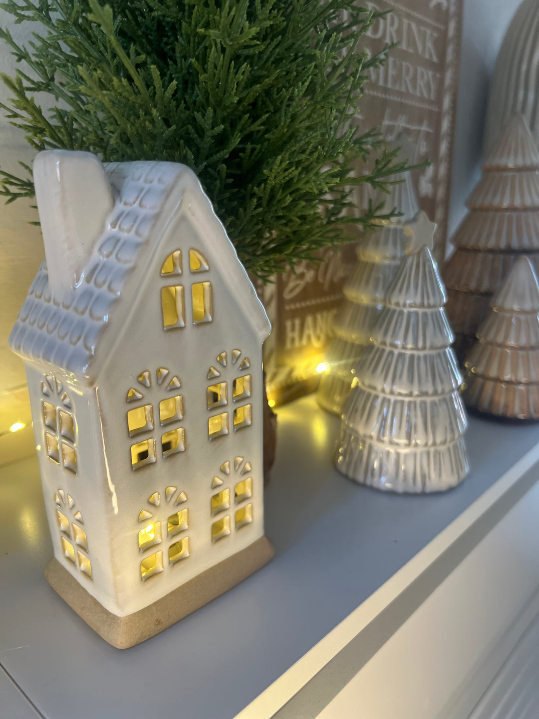 LED Natural House