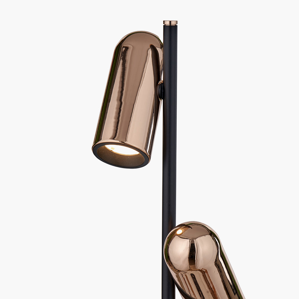 Xena Black and Rose Gold Metal LED Floor Lamp