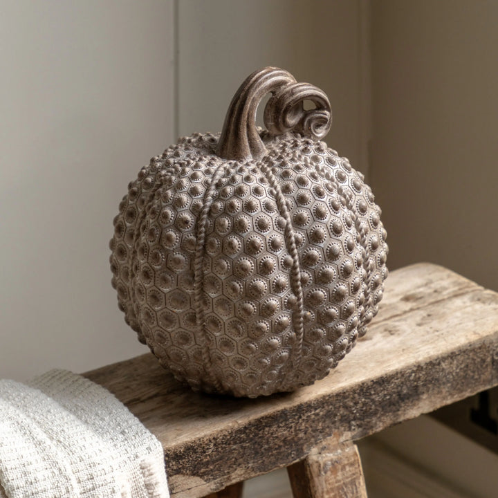 Resin Pumpkin Natural 22cm
