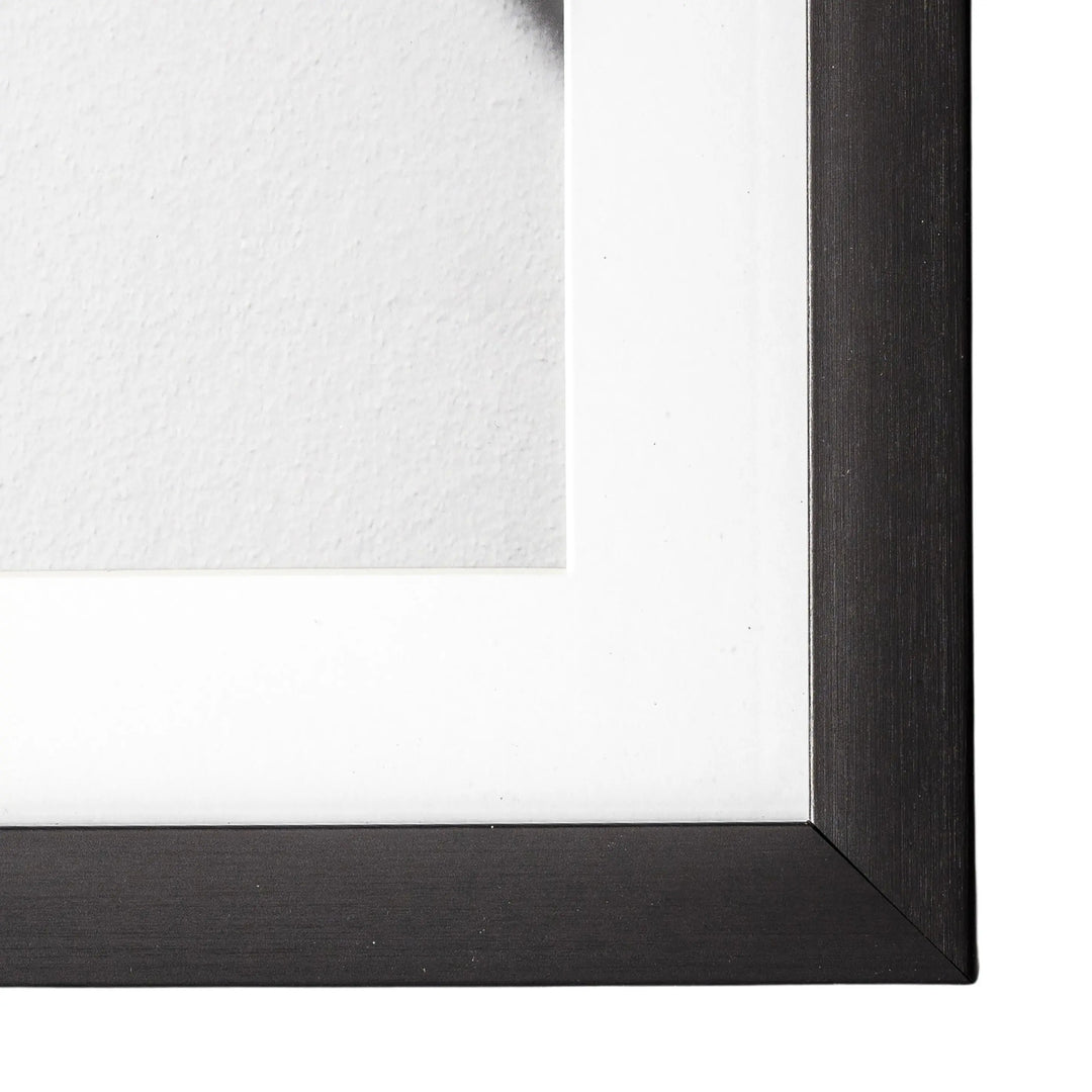 Shadow Architecture Framed Art Set of 4