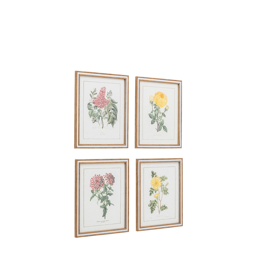 Floral Quartet Framed Art Set of 4