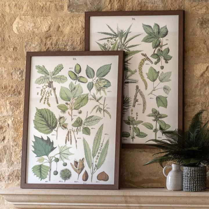 Foliage Study Framed Art Set of 2