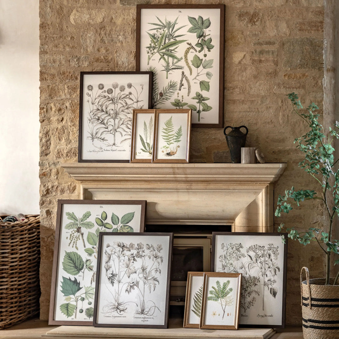 Trio Botanical Framed Art Set