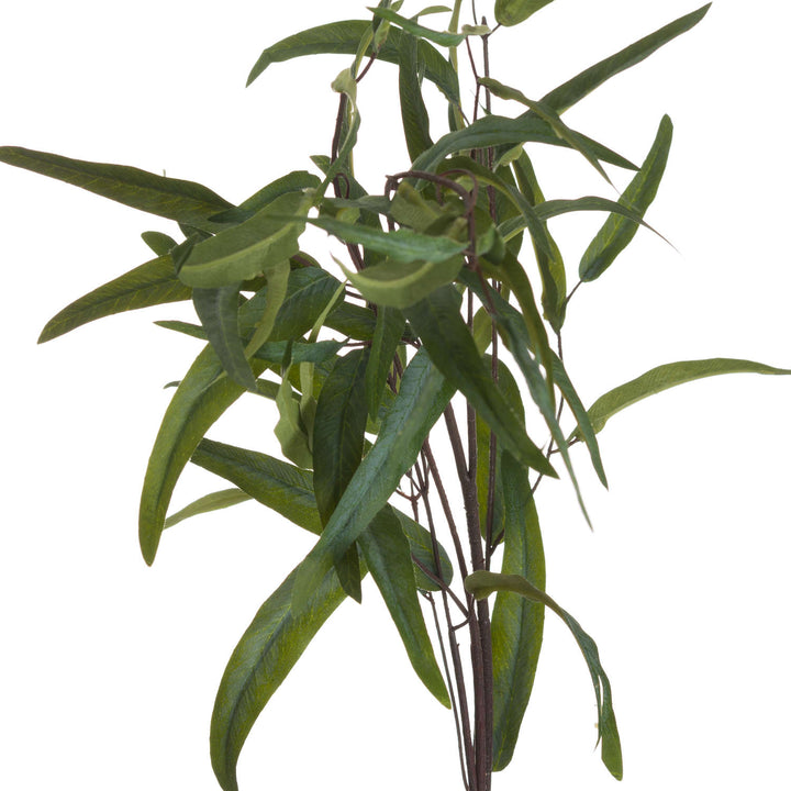 Willow Eucalyptus Spray