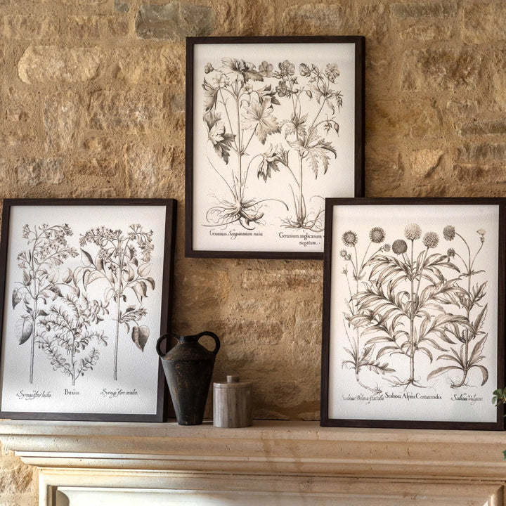 Trio Botanical Framed Art Set