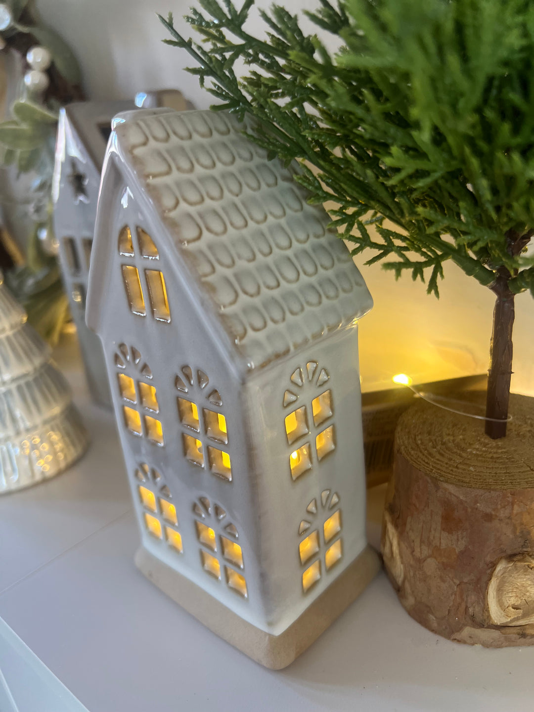 LED Natural House