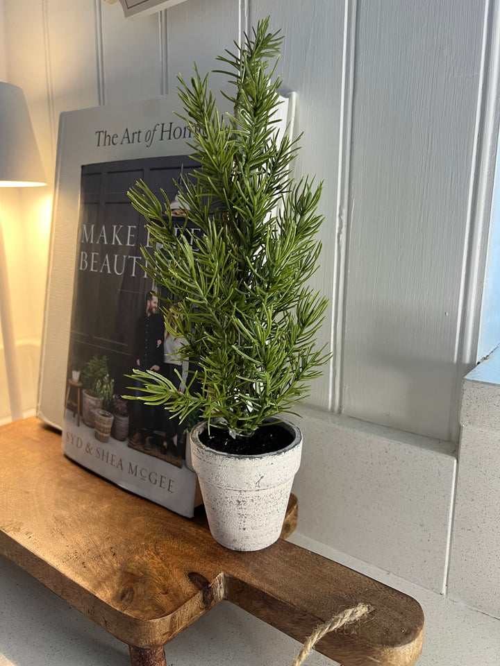 Green Mini Potted Indoor Tree, 31cm