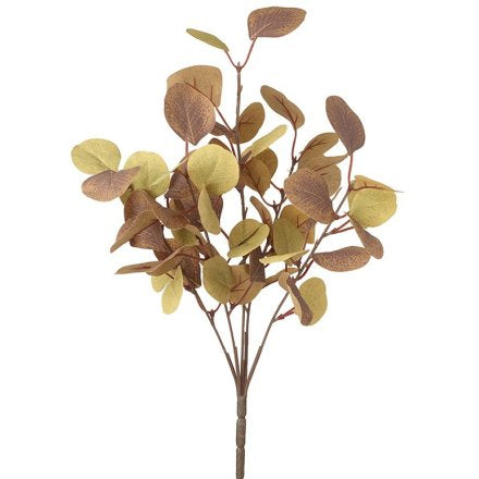 Autumn Eucalyptus Bunch 45cm