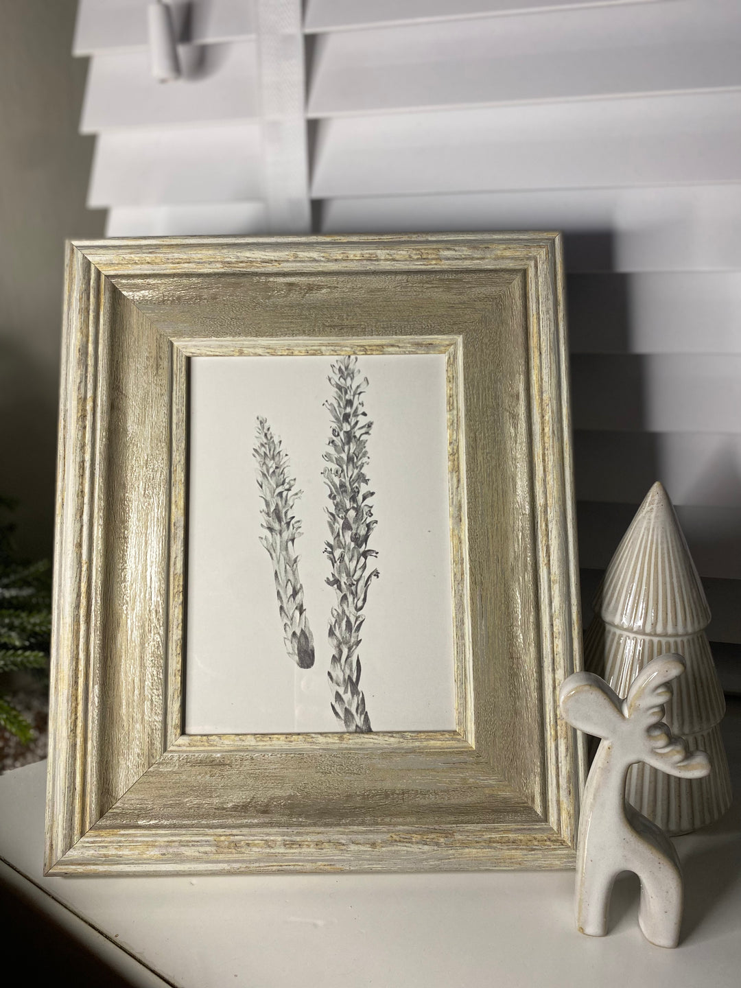 Simple Vintage Botanical Stem Print in Frame