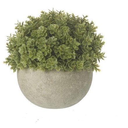 Greenery In Stone Pot 13cm