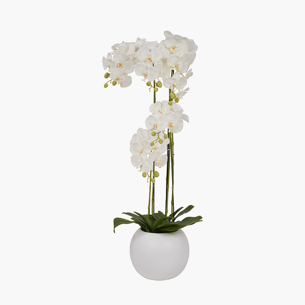 Tall White Orchid in Pot 115cm