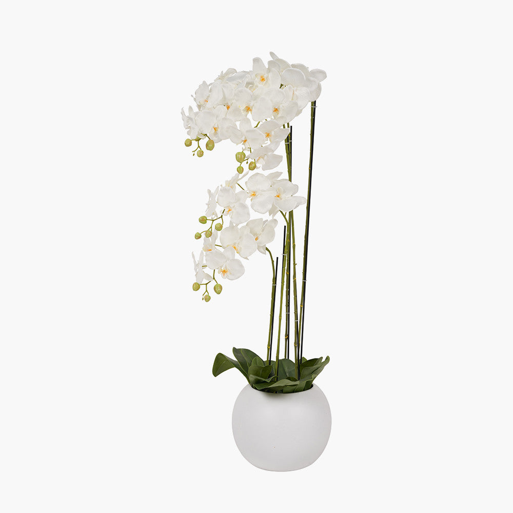 Tall White Orchid in Pot 115cm
