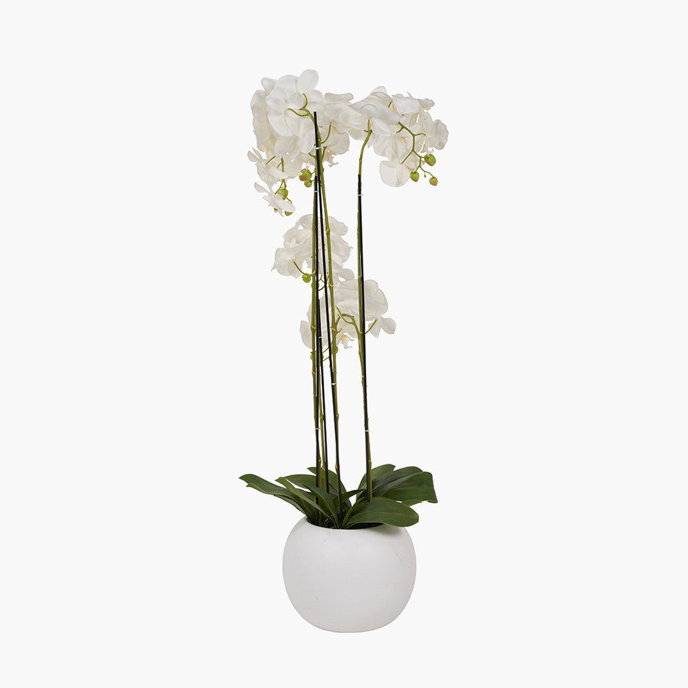 Tall White Orchid in Pot 115cm