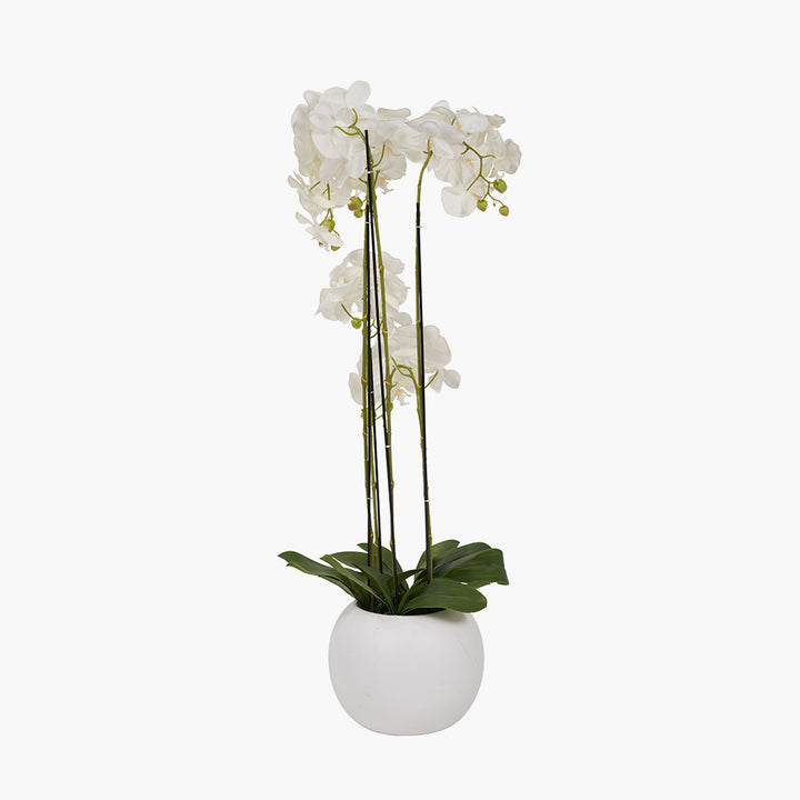 Tall White Orchid in Pot 115cm