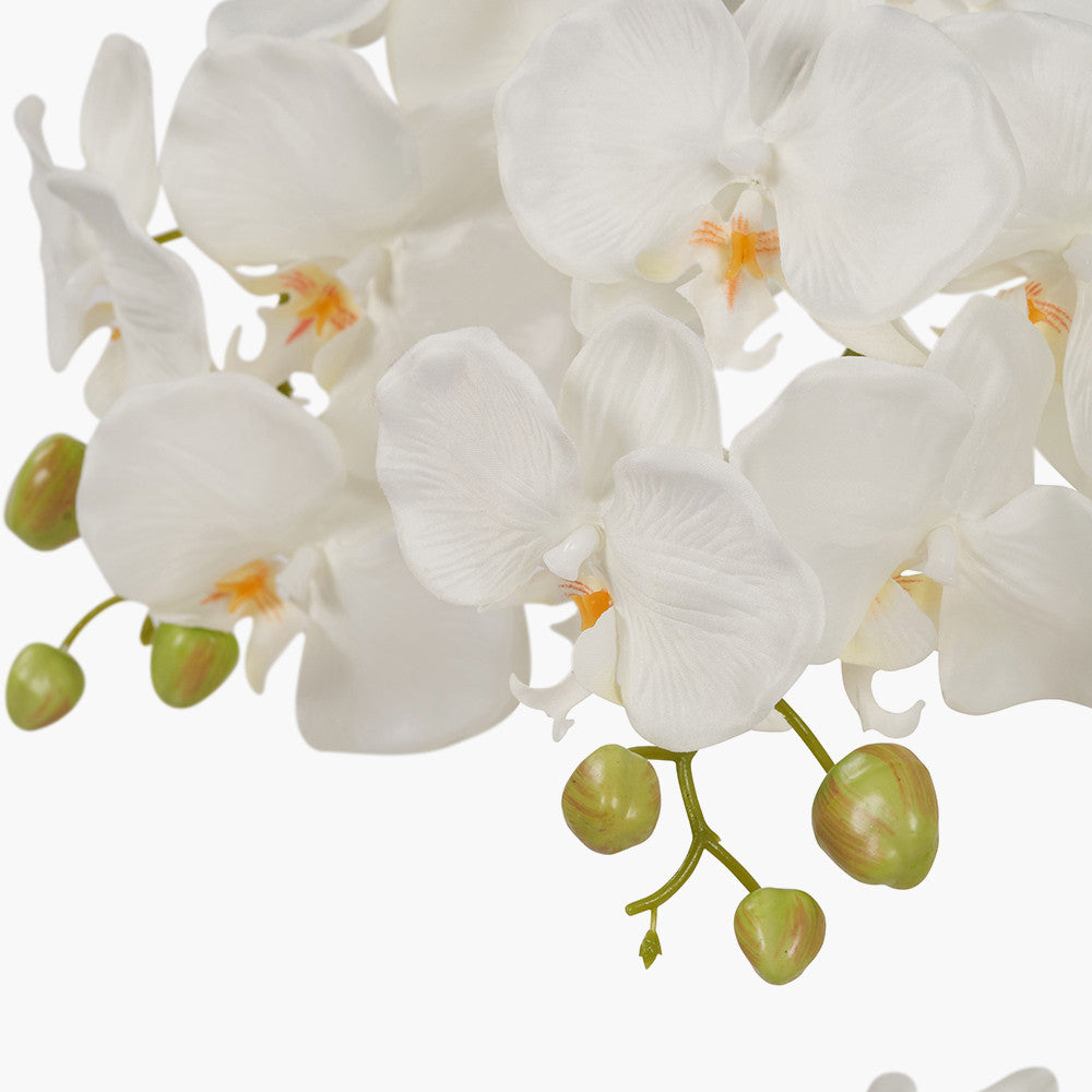 Tall White Orchid in Pot 115cm
