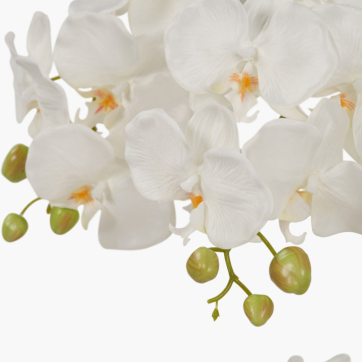 Tall White Orchid in Pot 115cm