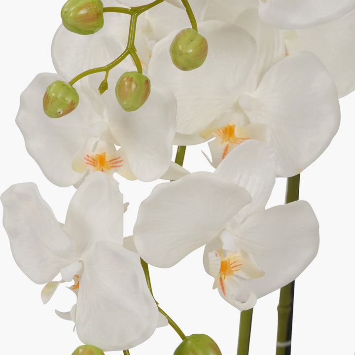 Tall White Orchid in Pot 115cm