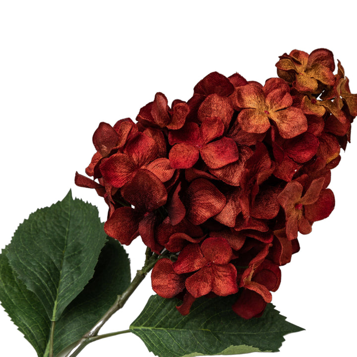 Hydrangea Velvet Stem with Leaves Ruby