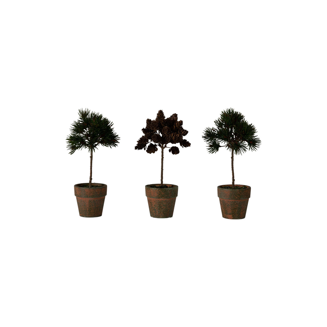 Potted Pine Cone Trees Set of 3