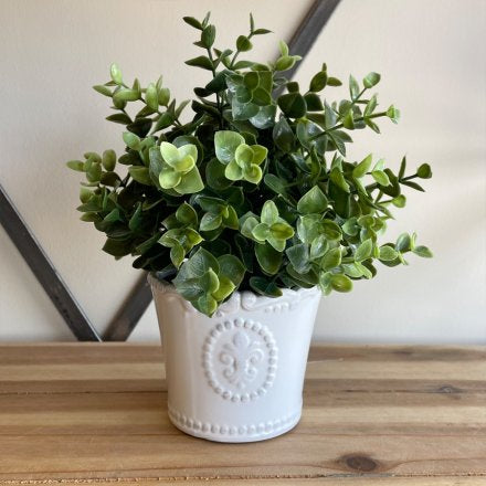 11cm Embossed Fleur White Pot