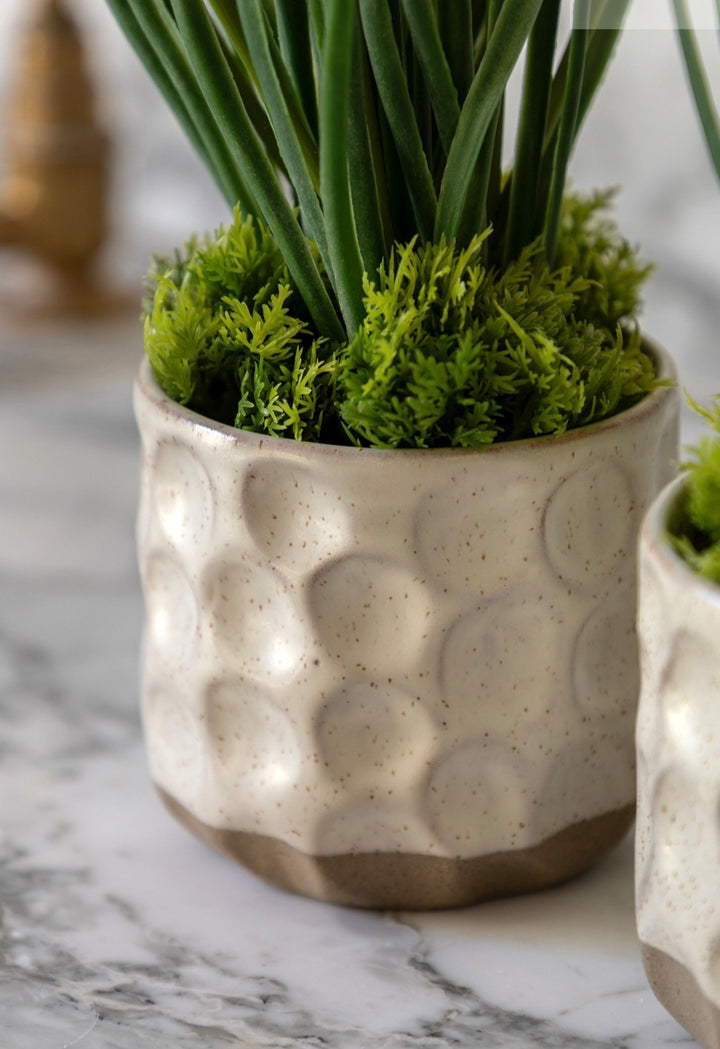 Spring Hydrangea in Ceramic Pots Set of 2