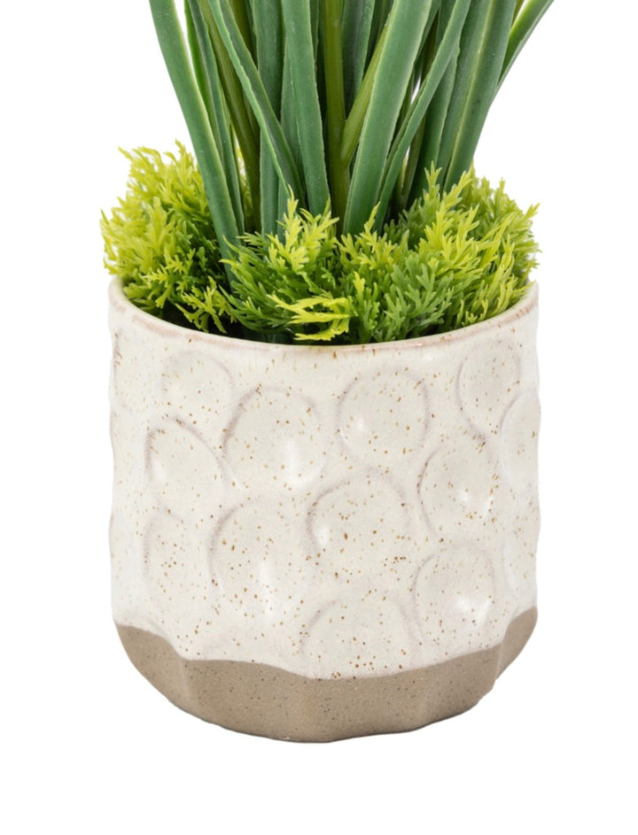 Spring Hydrangea in Ceramic Pots Set of 2