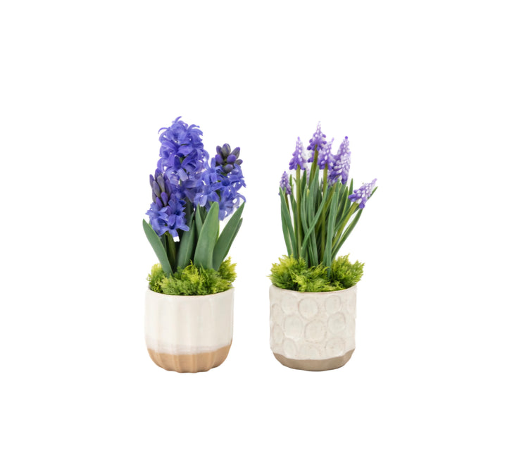 Spring Hydrangea in Ceramic Pots Set of 2/Purple