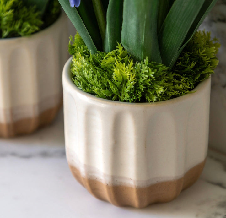 Spring Hydrangea in Ceramic Pots Set of 2/Purple