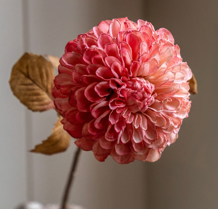 Faux Stem Dahlia 6pk/Burnt Orange