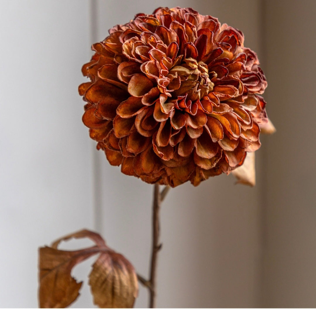 Faux Stem Dahlia 6pk/Burnt Orange