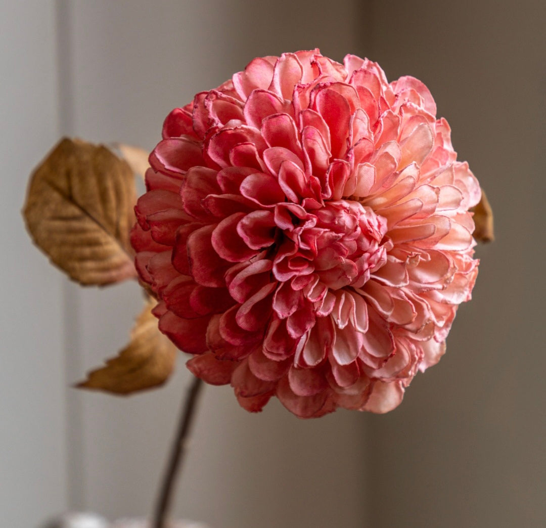 Faux Stem Dahlia 6pk/Apricot