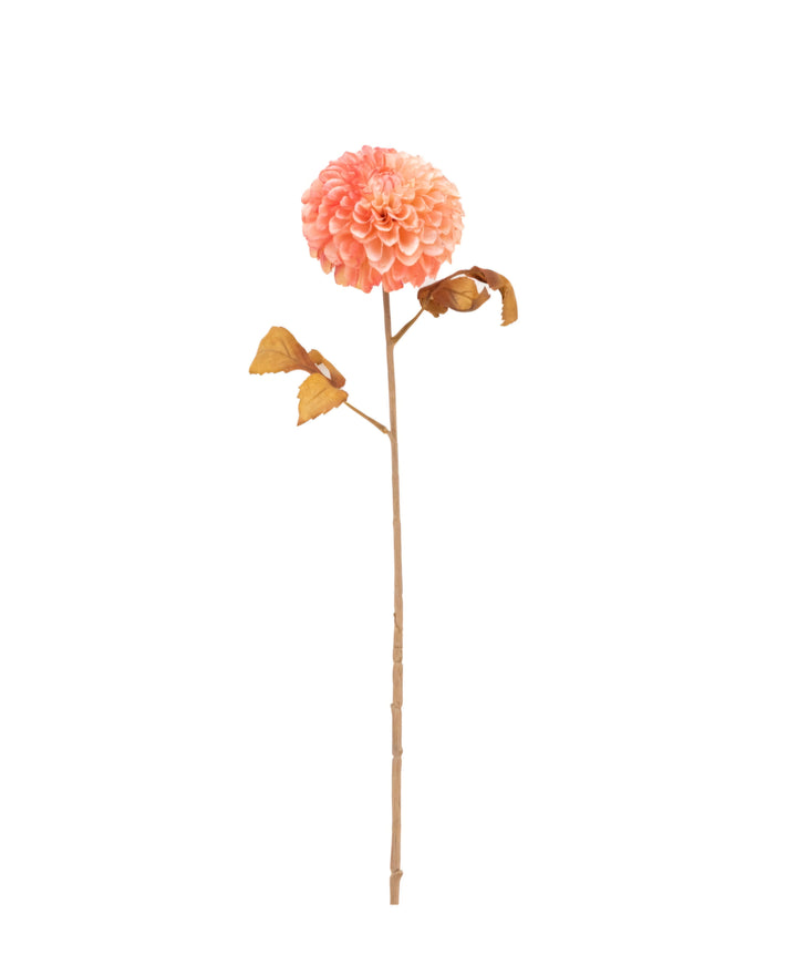 Faux Stem Dahlia 6pk/Apricot