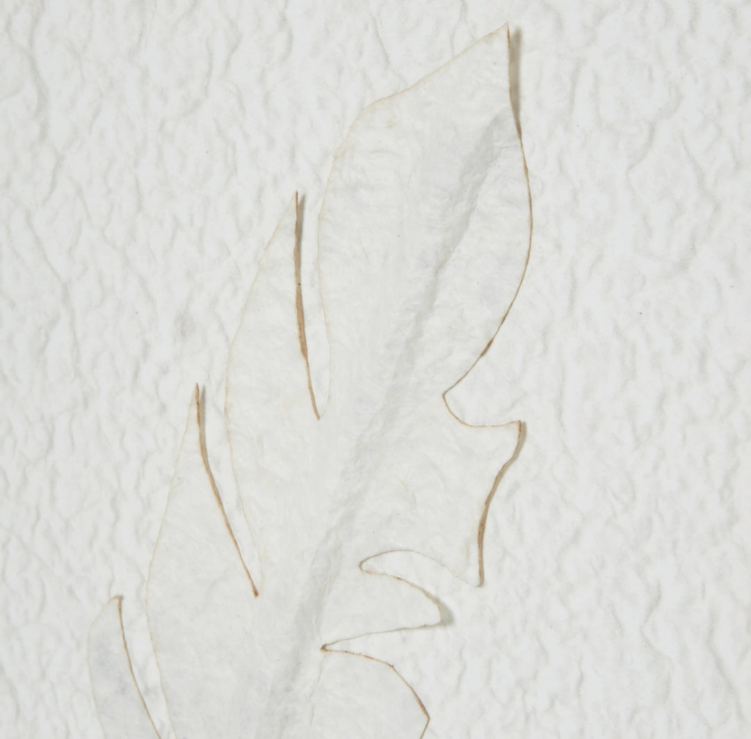 Solli White Feathers Art Mounted in Beaded Frame
