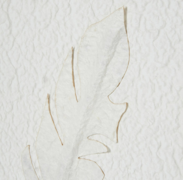 Solli White Feathers Art Mounted in Beaded Frame