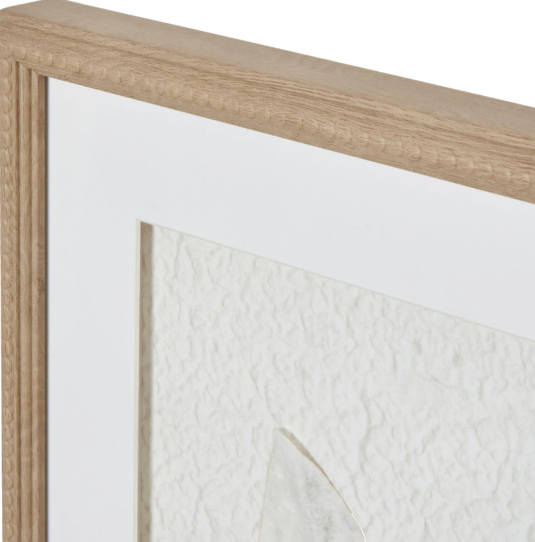 Solli White Feathers Art Mounted in Beaded Frame