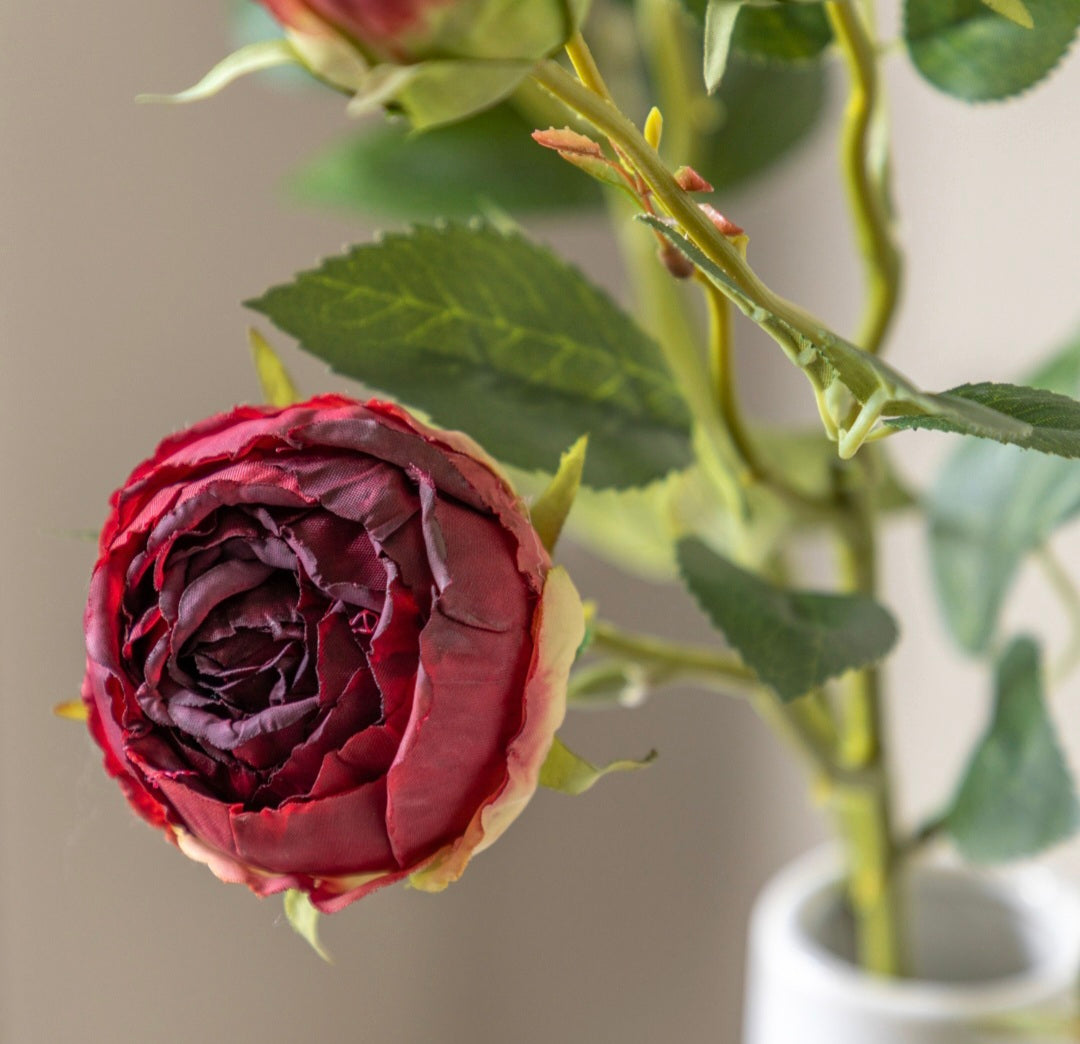 Faux Stem Vintage Rose 6pk
