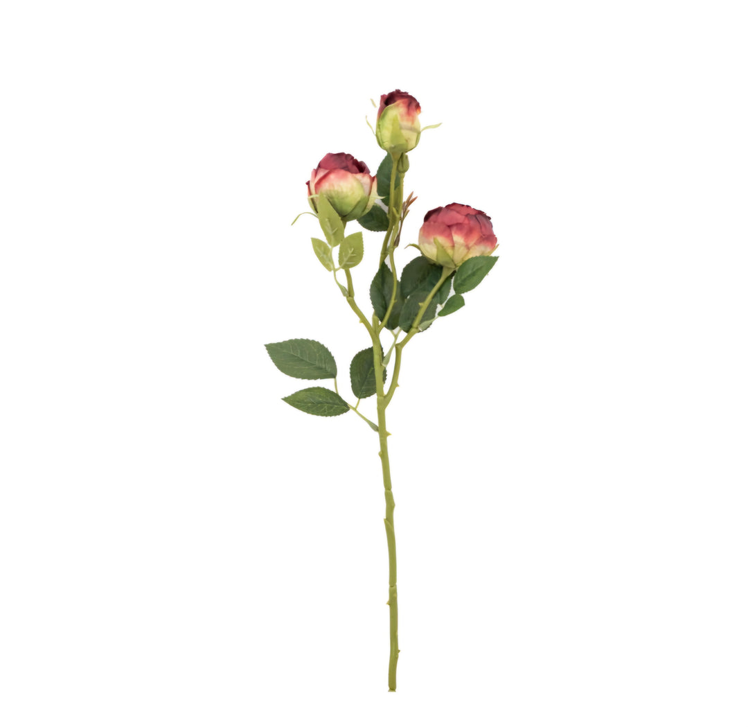 Faux Stem Vintage Rose 6pk